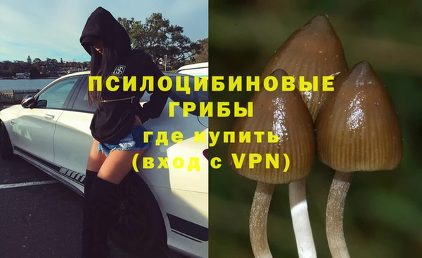 круглые Заводоуковск