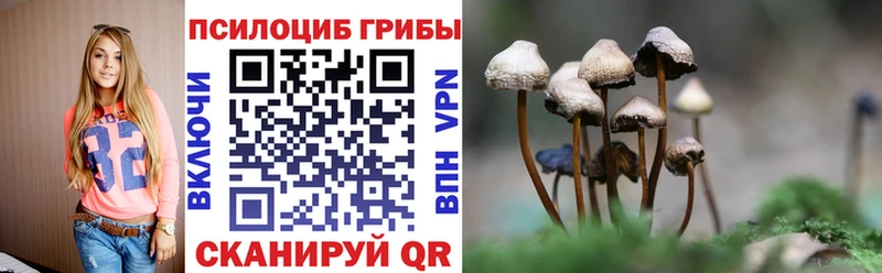 MEGA ONION  сколько стоит  Каменка  Галлюциногенные грибы прущие грибы 
