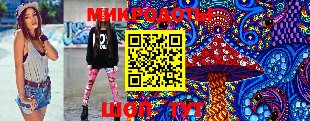 Галлюциногенные грибы Psilocybe Каменка