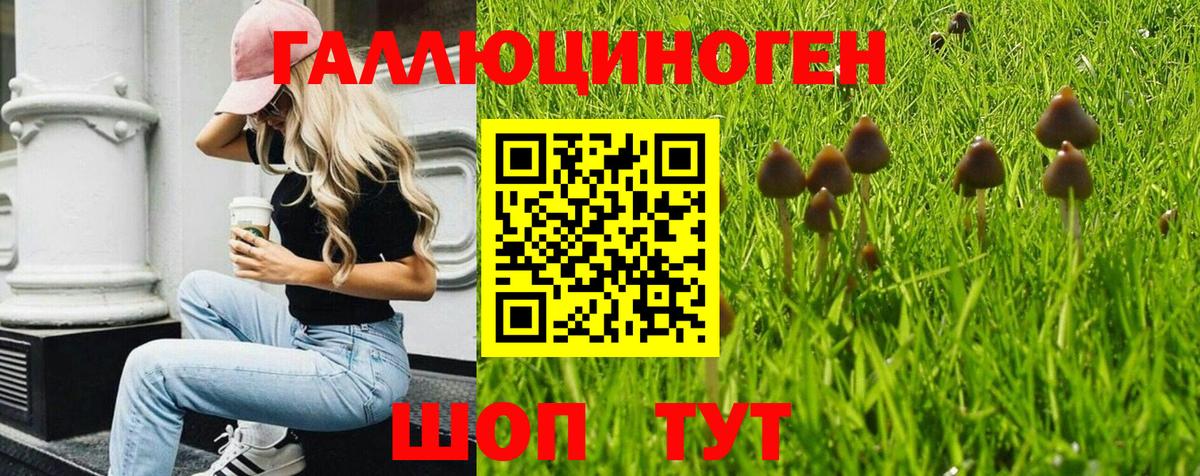 Псилоцибиновые грибы MAGIC MUSHROOMS  Псилоцибиновые грибы мухоморы  Вход с VPN  Каменка 